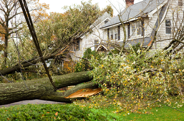 image of damage after mild tornado in texas