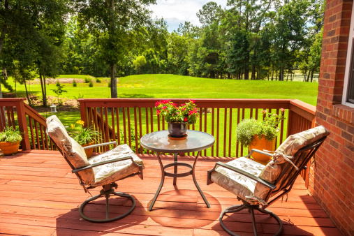 Backyard and Porch